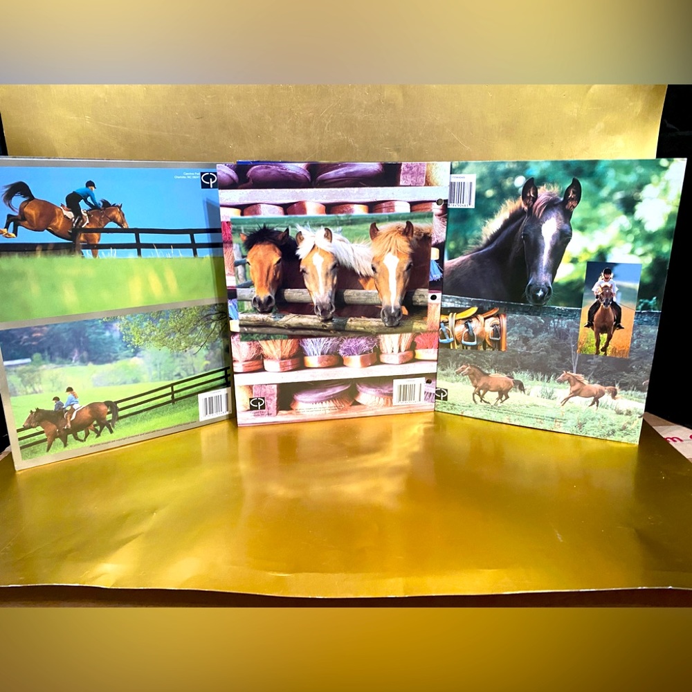 HORSES VINTAGE 90’s PORTFOLIO 3 RING BINDER FOLDERS BUNDLE OF 3 GREAT FOR SCHOOL